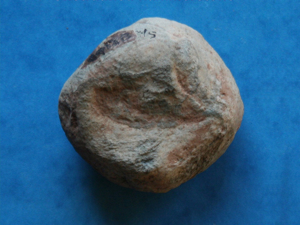 Work Stone Prehistoric Worked Stone – The Giant's Quoit